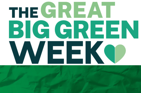Going Green for Great Big Green Week