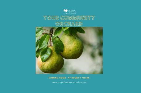Competition launched to name your community orchard!