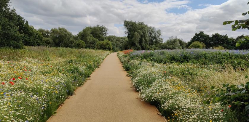 New accessible path