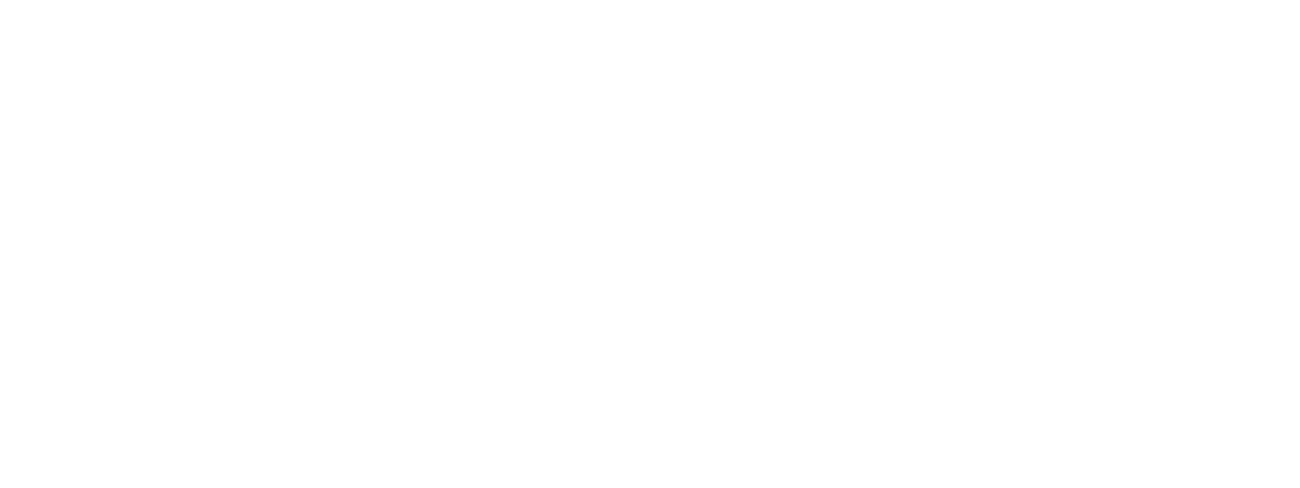 white version of STT logo_png