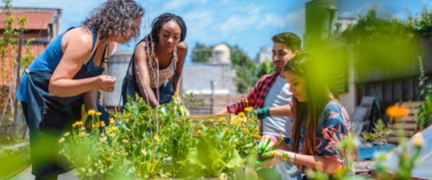 People gardening