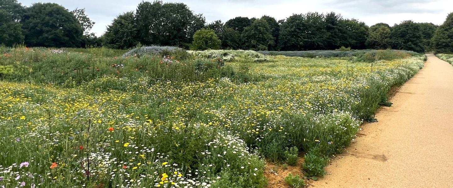 Stratford-upon-Avon Local Nature Reserve