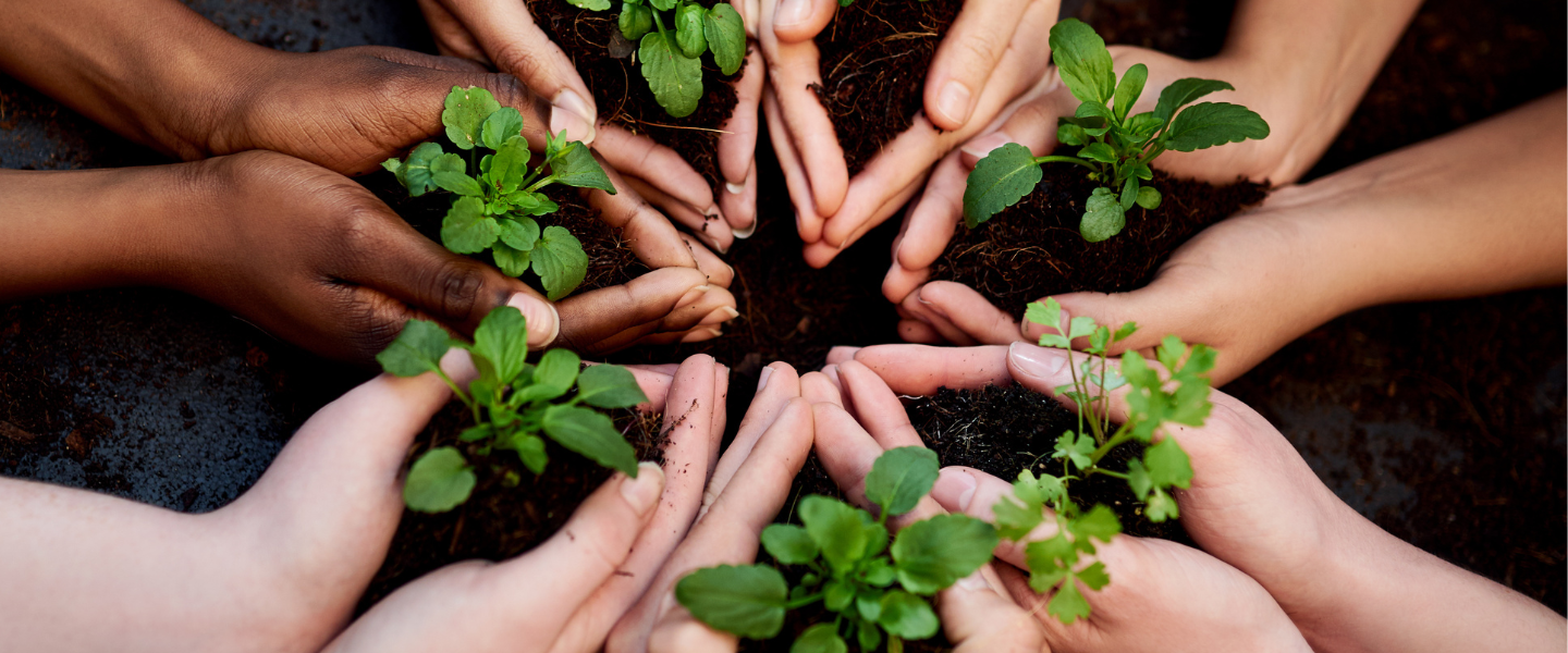 People gardening