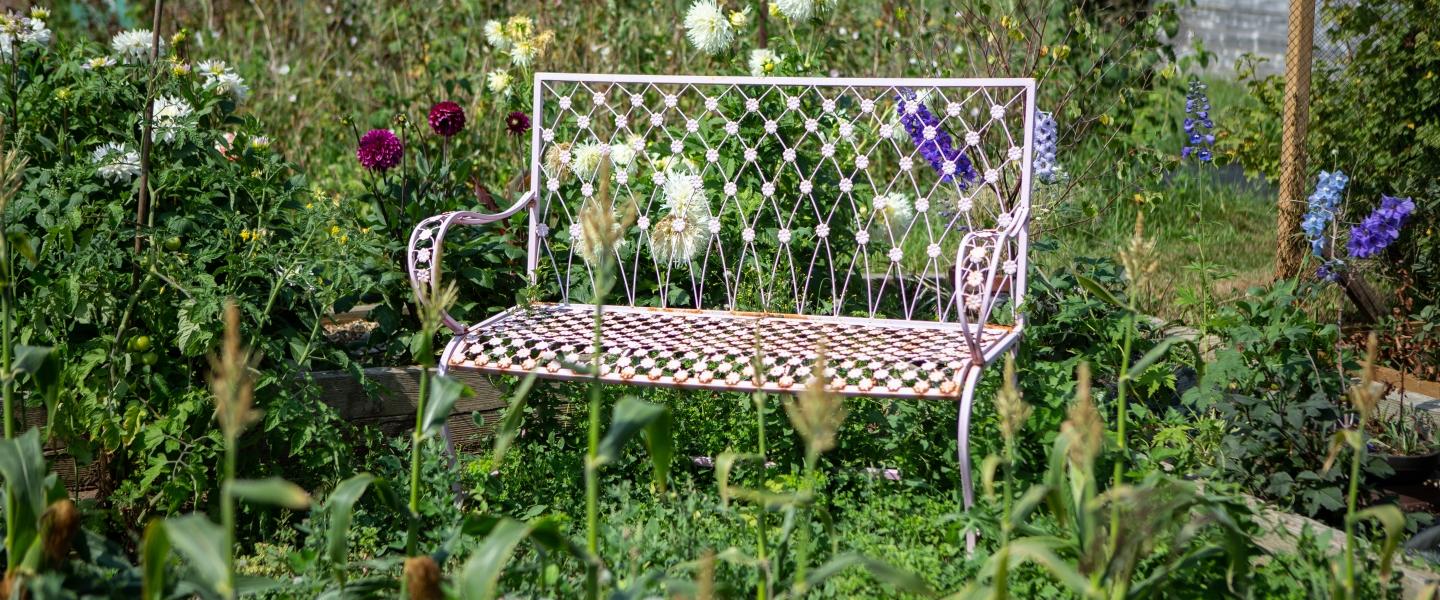 A bench in our allotments