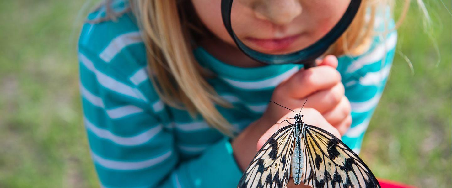 Girl with magnifying glass and butterfly